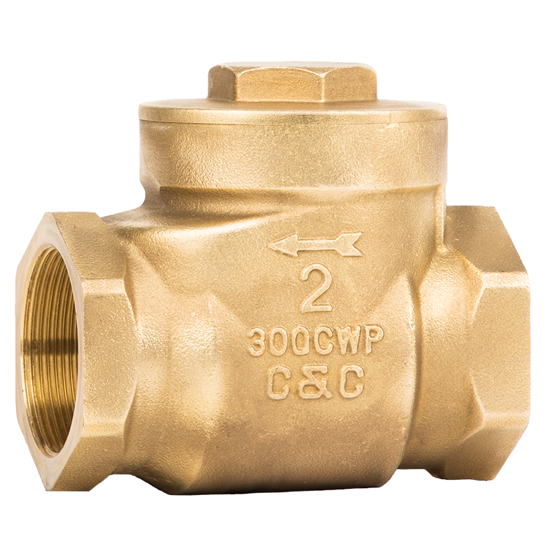 Brass - 300 psi Threaded End Check Valve